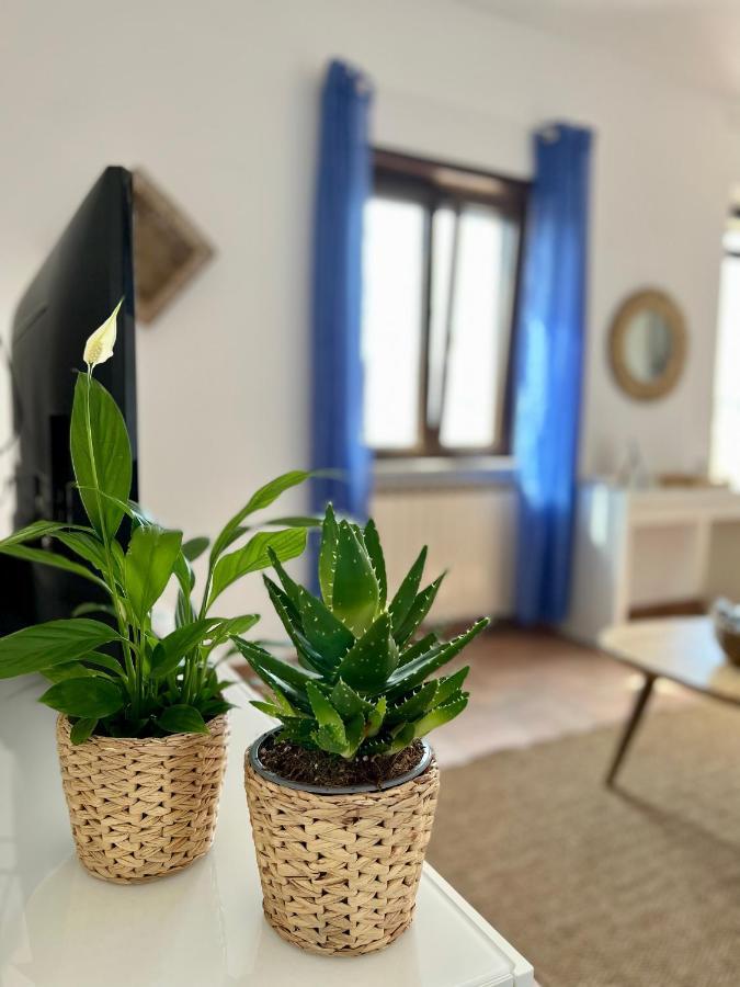 Sea Breeze House Apartment Fiumicino Exterior photo